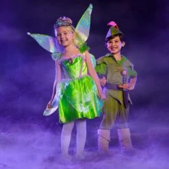 Disney Tinker Bell Costume For Kids – Peter Pan -Engo Clothing Shop 2841040739139 4