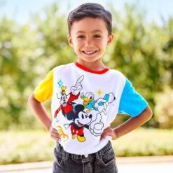 Disney Mickey Mouse And Friends Color Block T-Shirt For Kids – Sensory Friendly -Engo Clothing Shop 5007048020045 1