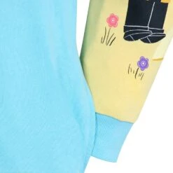 Disney Up Loungefly Pullover Hoodie For Adults -Engo Clothing Shop 5301105710086 4