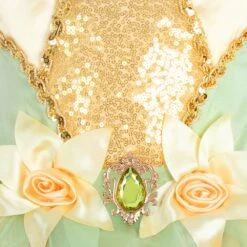 Disney Tiana Costume For Kids – The Princess And The Frog -Engo Clothing Shop 5502041610135 3