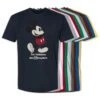 Adults' Walt Disney World Standing Mickey Mouse T-Shirt – Customized 1 Adults' Walt Disney World Standing Mickey Mouse T-Shirt – Customized -Engo Clothing Shop 7405055825926